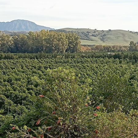 Los Dos Cedros San Pablo ภายนอก รูปภาพ