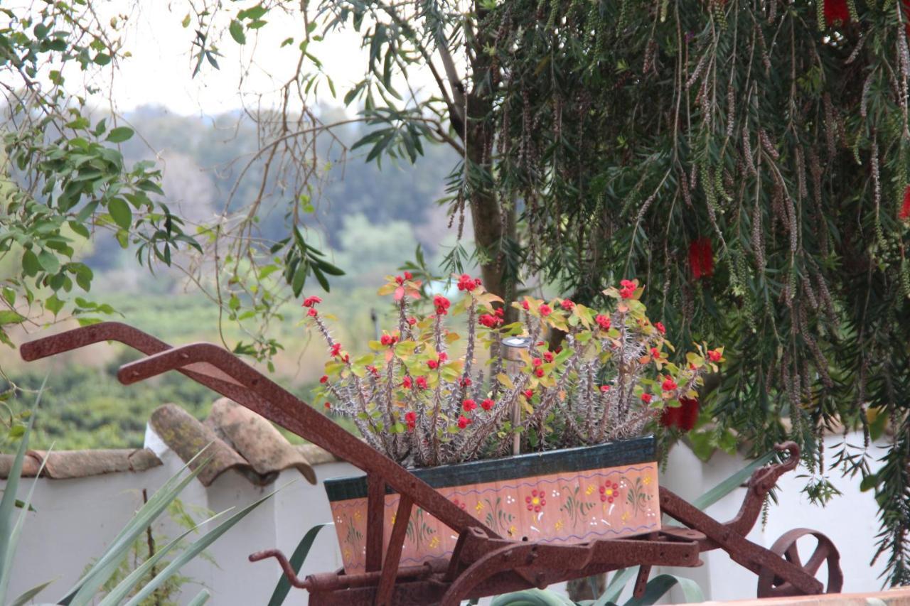 Los Dos Cedros San Pablo ภายนอก รูปภาพ