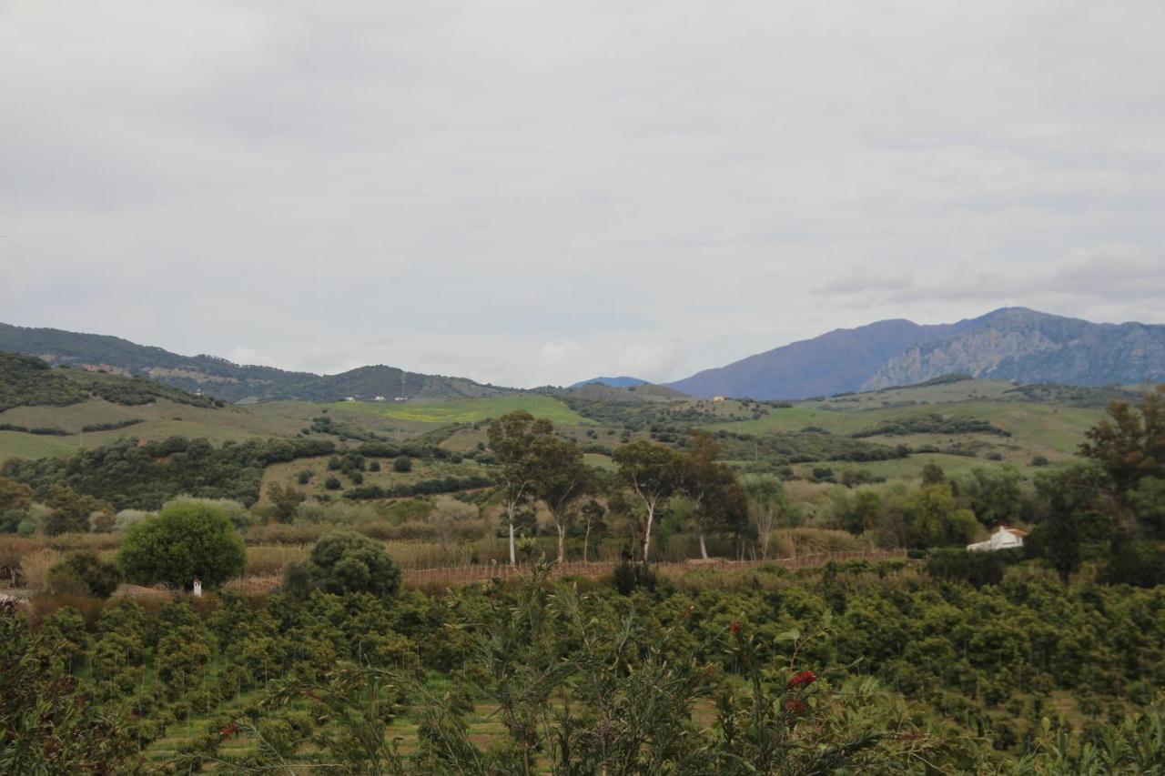 Los Dos Cedros San Pablo ภายนอก รูปภาพ