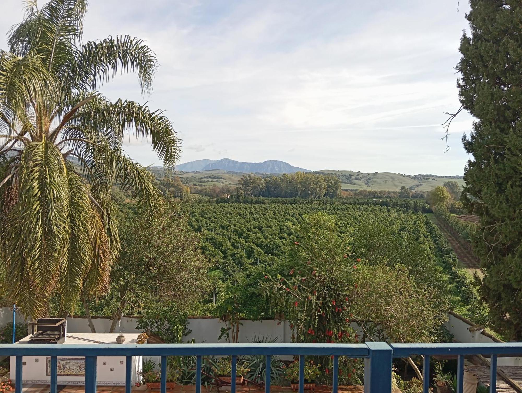 Los Dos Cedros San Pablo ภายนอก รูปภาพ